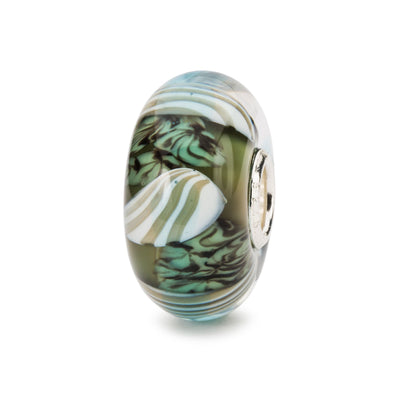 Curious Clams - Trollbeads Canada