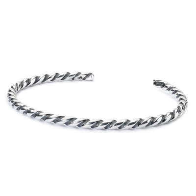 Twisted Silver Bangle - Trollbeads Canada